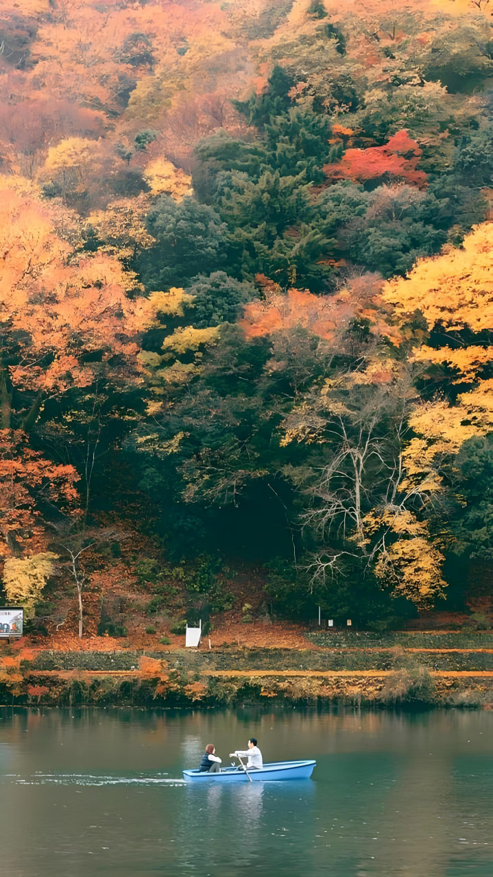 最新更新4